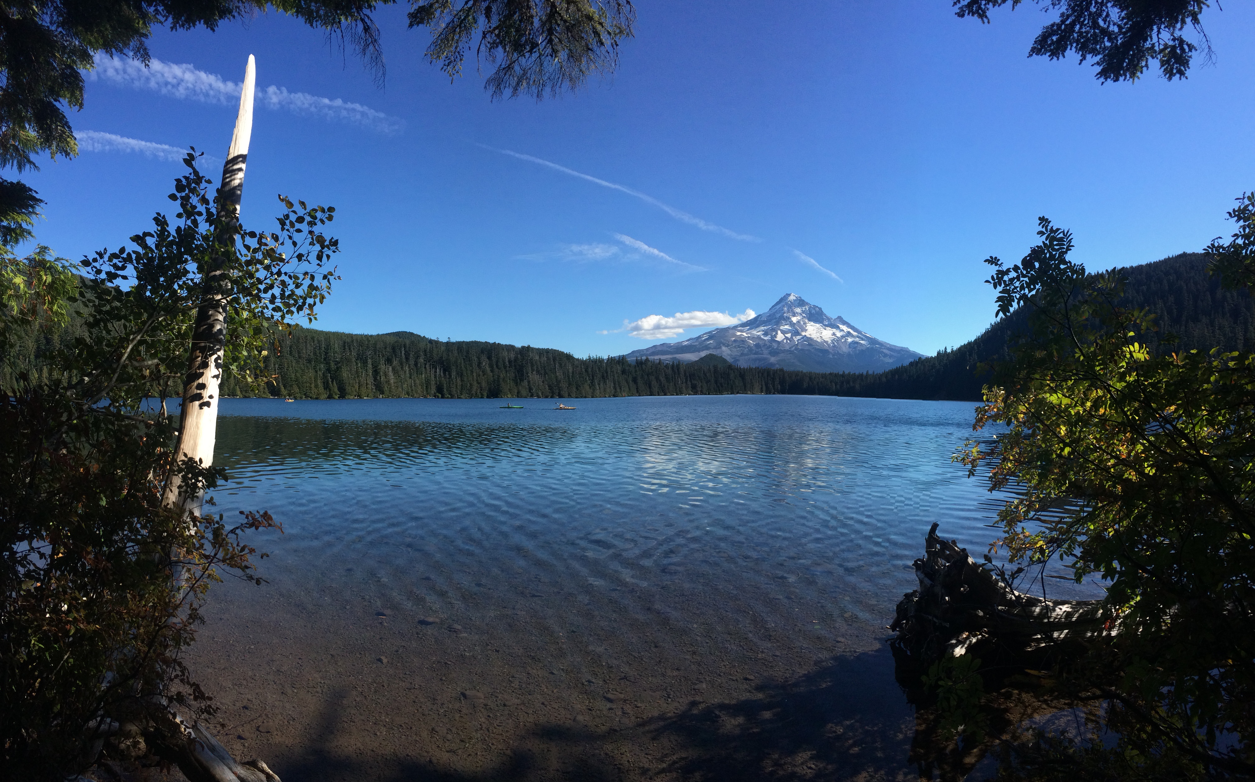 Scene from lake with Mt. Hood, OR, in background